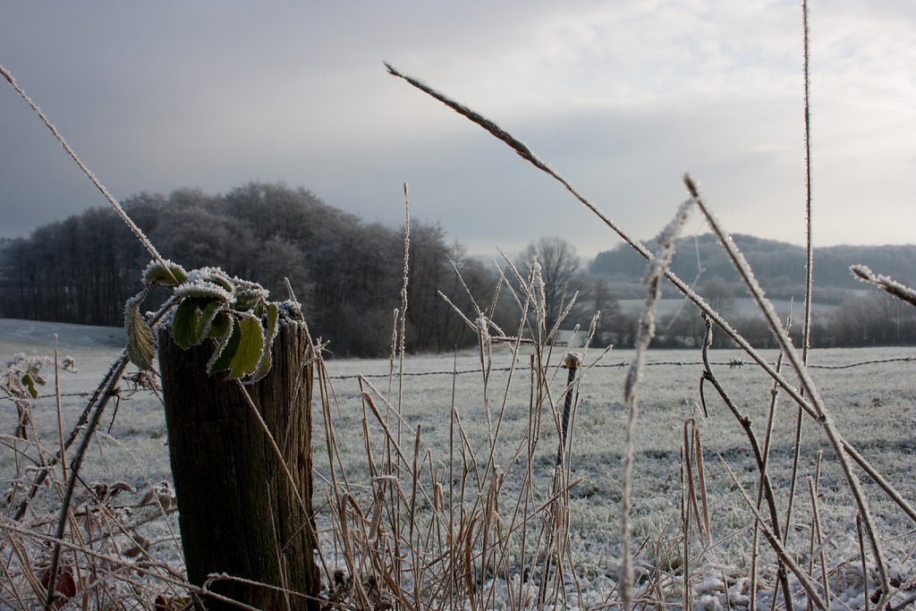 Fleckeby im Winter