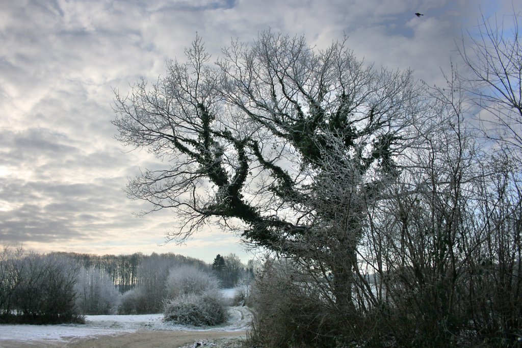 Fleckeby im Winter