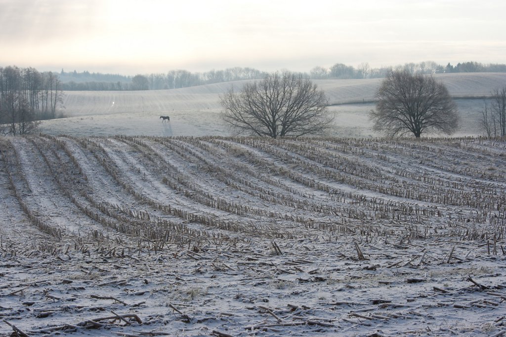 Fleckeby im Winter
