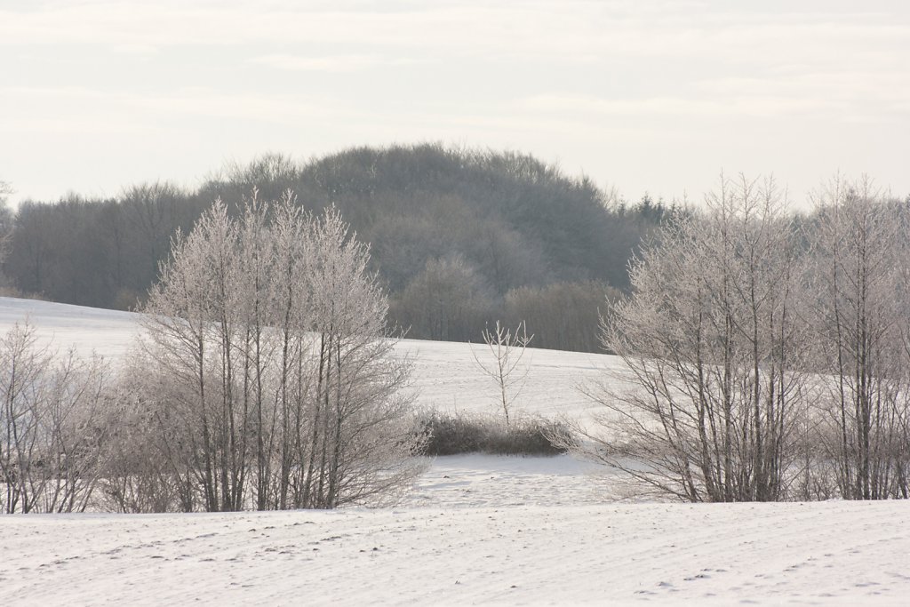 Fleckeby im Winter