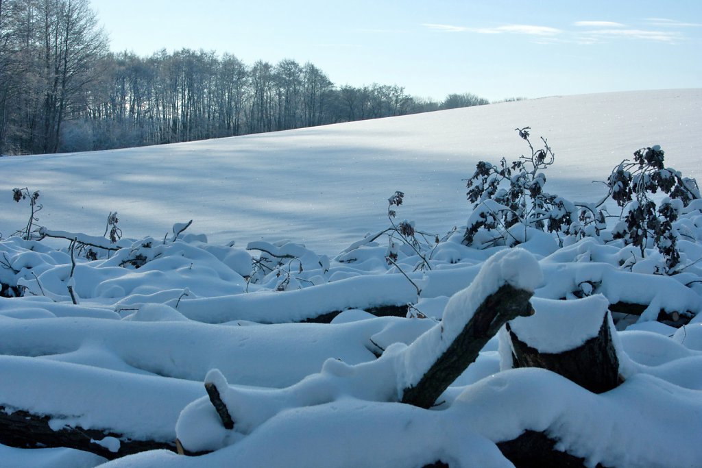 Fleckeby im Winter