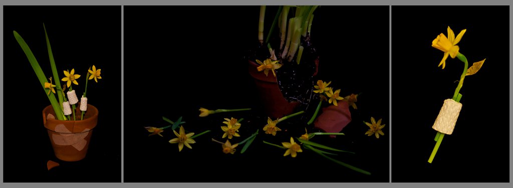Daffodil Dream