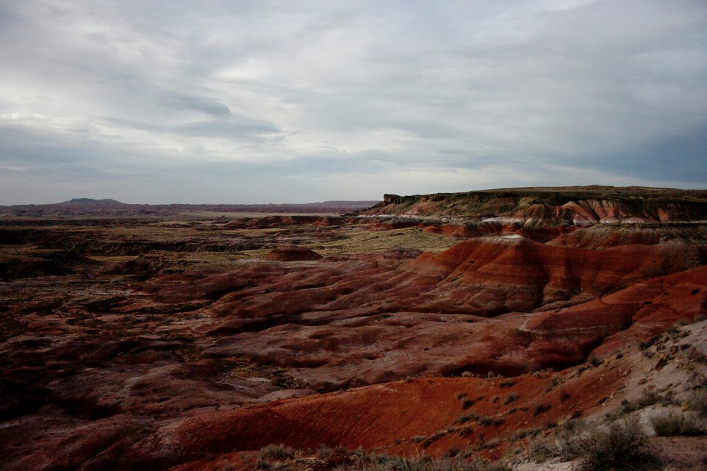 Arizona 