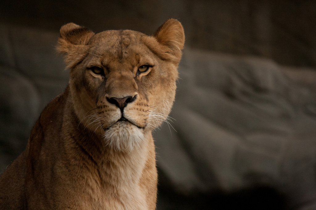 Hagenbek Tierpark