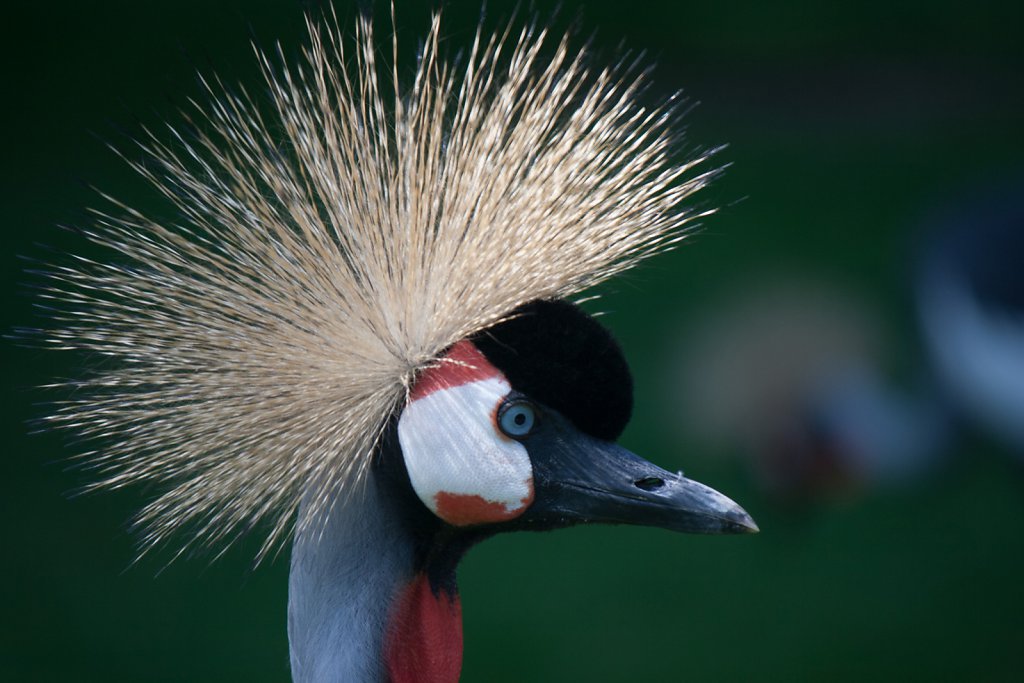 Hagenbek Tierpark