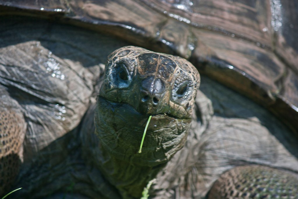 Hagenbek Tierpark
