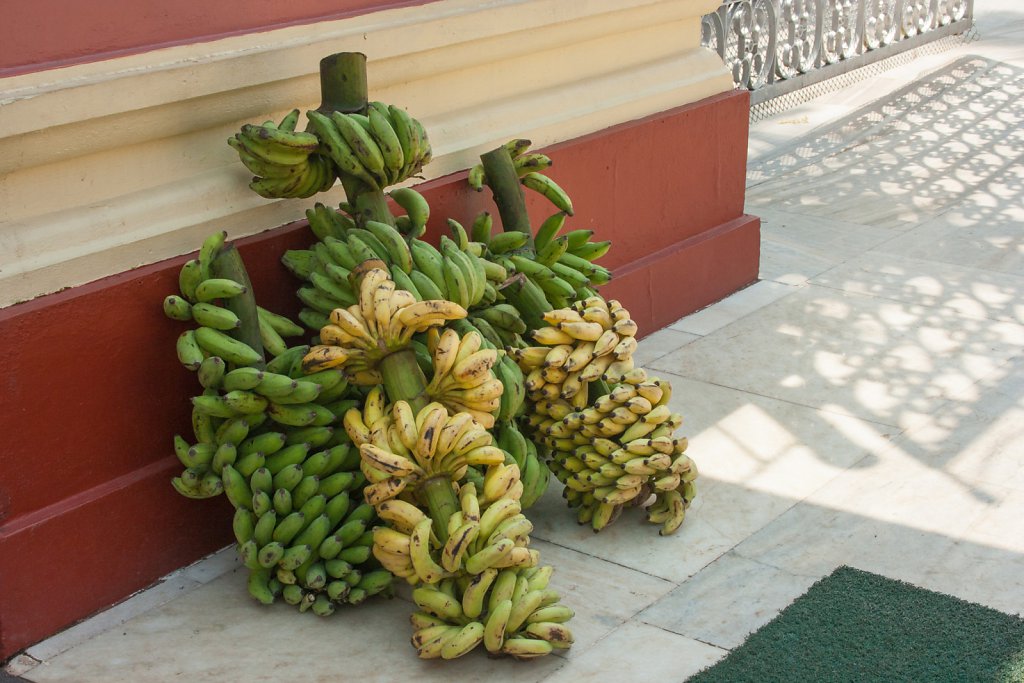 Mangalore
