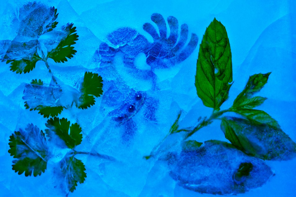 Mint & Corriander