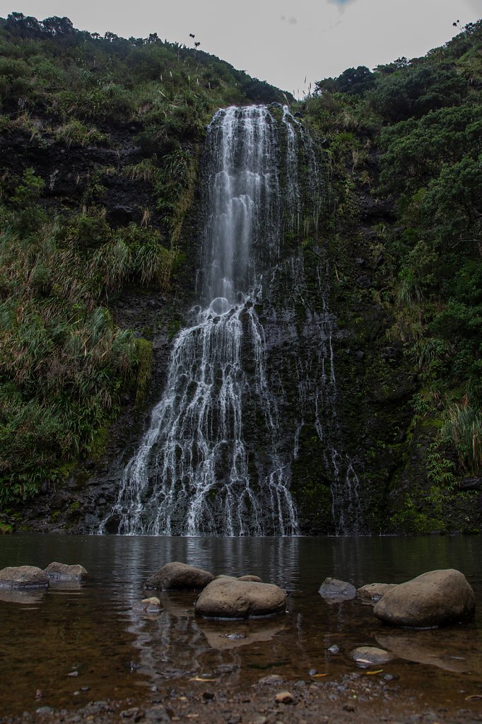 Tonga-NZ-2831.jpg